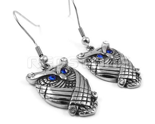 Oceľové náušnice SE32073